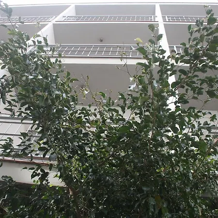 Torre Mar 3* Σαλού